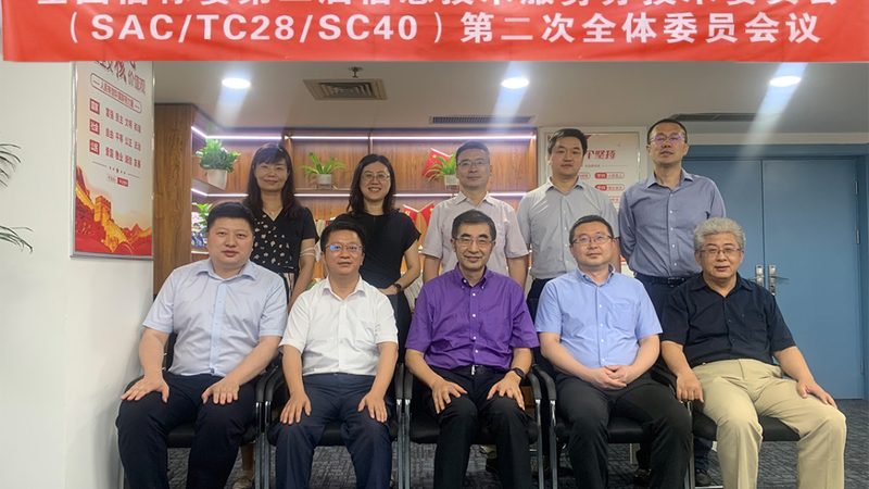 IT咨询项目管理流程：揭秘高效交付的秘诀